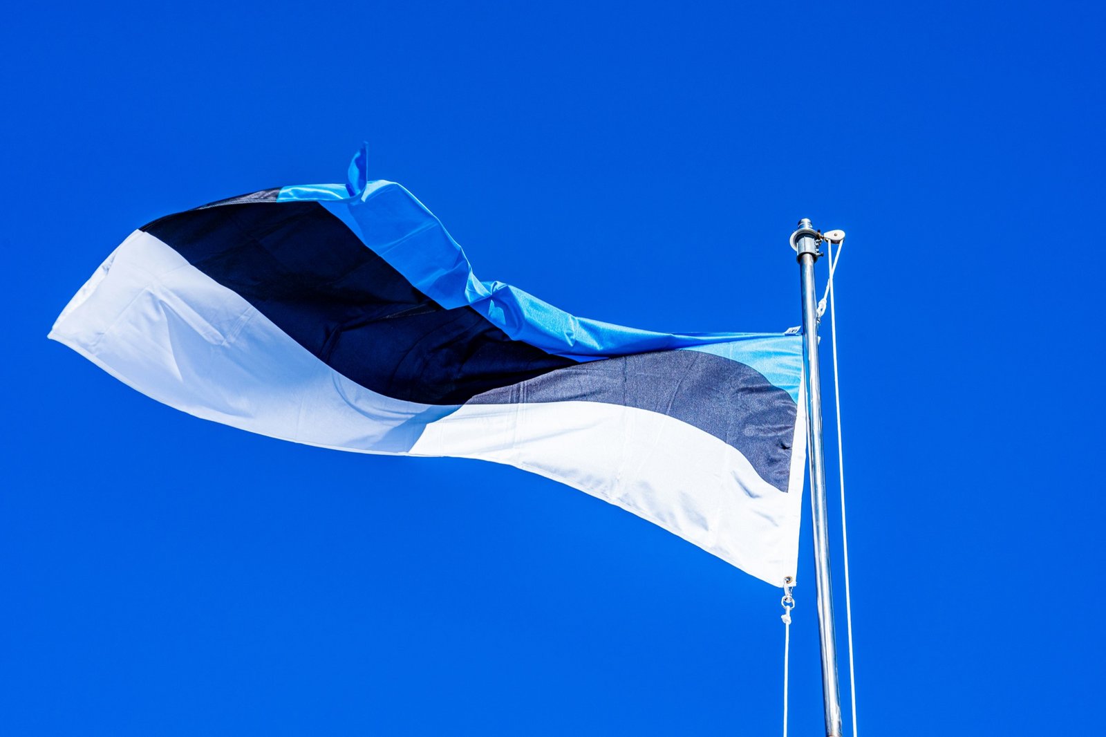 Estonian flag against a clear blue sky