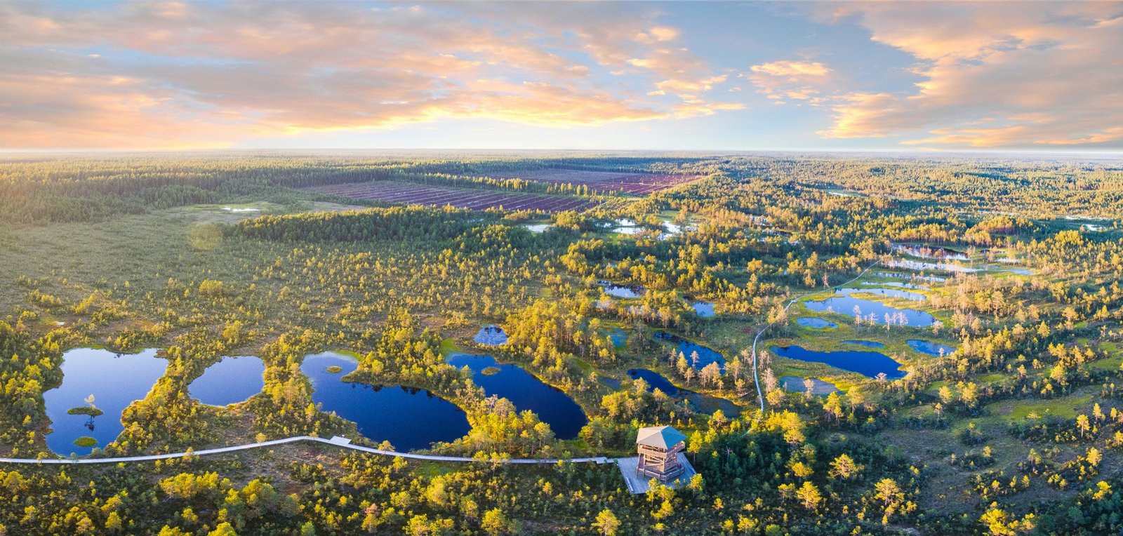 Aerial view of an Estonian raised bog at sunset